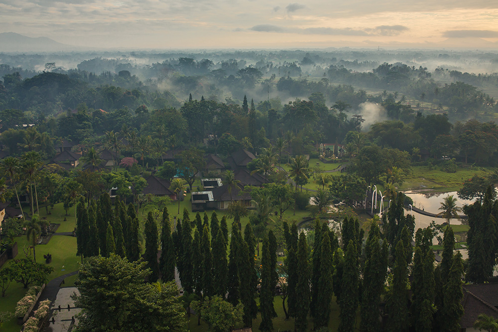 Aerial view of Tanah Gajah Ubud