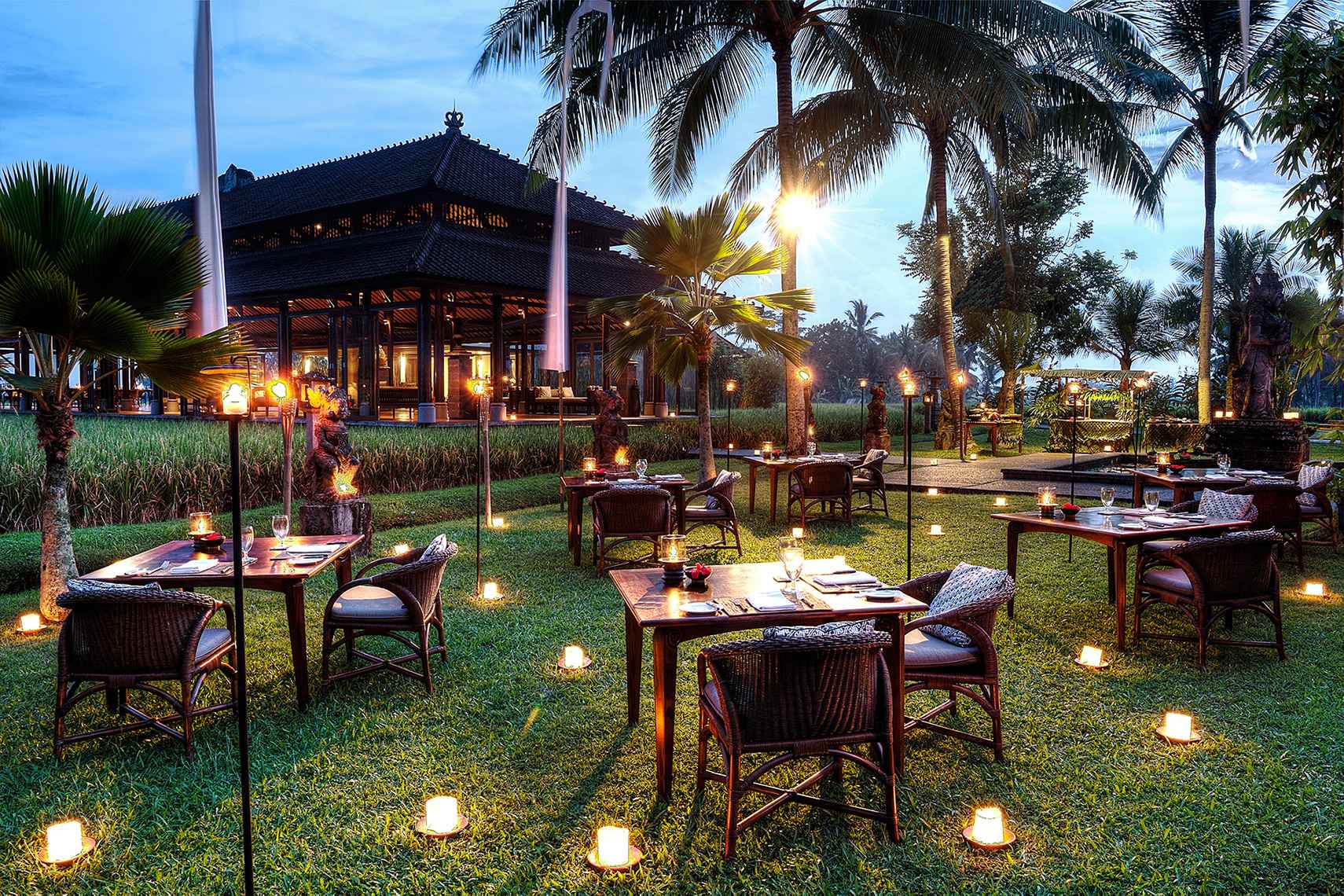 TGU-Dining-Experiences-Barbecue-Under-the-Stars-1