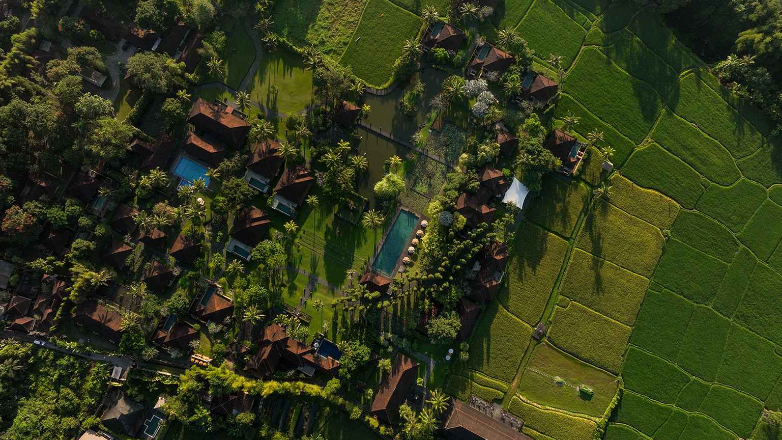 Tanah-Gajah-Ubud---Resort-grounds-2023---drone-shot-2